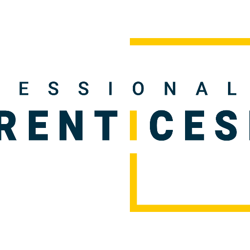 Professional Apprenticeships