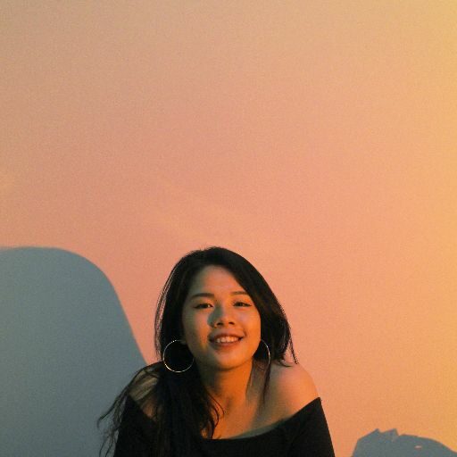 ppthao.285@gmail.com